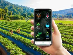 Masa Depan Agrikultur, Inovasi dan Solusi Berkelanjutan untuk Dunia yang Lebih Hijau