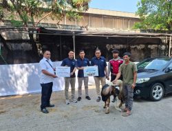 Wujud Kepedulian Sosial PT Menara Maritim Indonesia Salurkan Hewan Kurban Di Jakarta