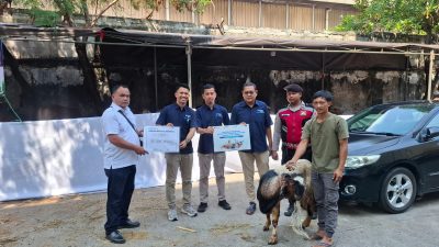 Wujud Kepedulian Sosial PT Menara Maritim Indonesia Salurkan Hewan Kurban Di Jakarta